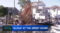 Builder of Moana's canoe brings Disney magic to Jersey shore
