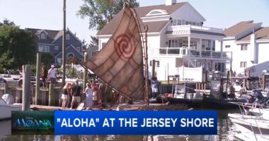 Builder of Moana's canoe brings Disney magic to Jersey shore