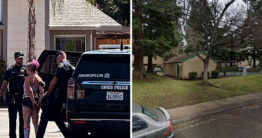 Burglar suspect seen in bizarre arrest picture — after making hilariously dumb escape error