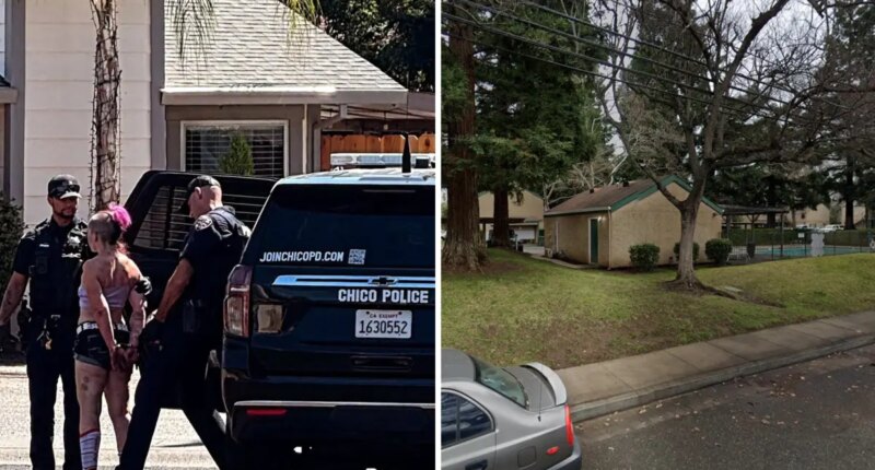 Burglar suspect seen in bizarre arrest picture — after making hilariously dumb escape error