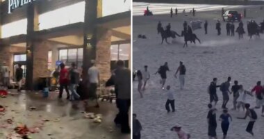 California July Fourth chaos: Stores looted, police horses charge, fires erupt