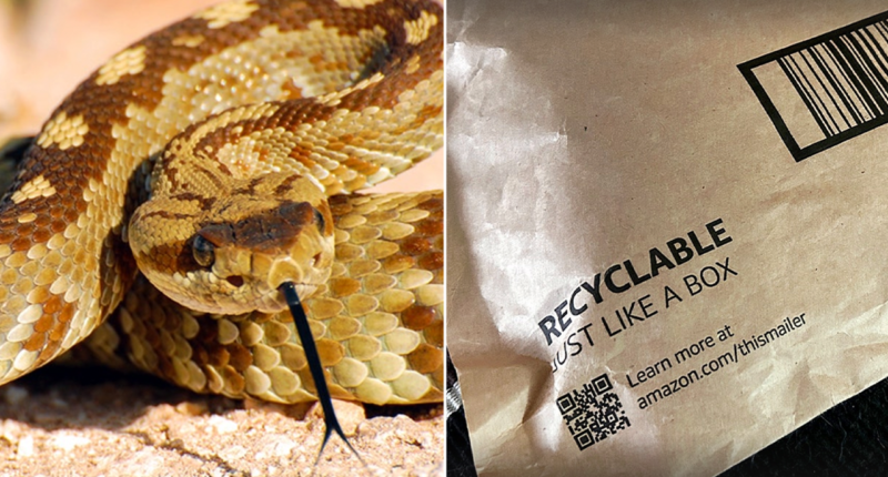 California toddler bitten by rattlesnake hiding beneath Amazon package amid active snake season