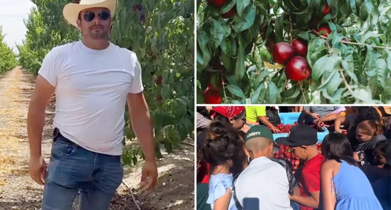 Central Valley farmer gives away thousands of free nectarines amid legal battle