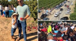 Central Valley farmers’ nectarine giveaway shut down amid legal spat