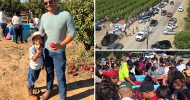 Central Valley farmers’ nectarine giveaway shut down amid legal spat