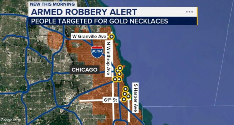 Chicago, Hinsdale police alert of more necklace-snatching robberies in Loop, Chinatown, Near South Side, Edgewater