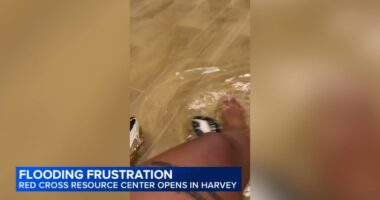 Flossmoor, Harvey, Illinois residents still cleaning up after weekend storms, flooding; many without power