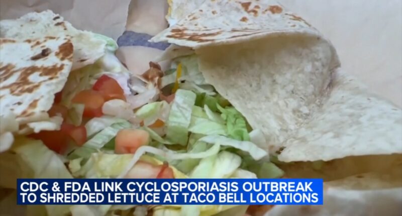 Chicago consumers react to potential cyclosporiasis outbreak source identified by FDA as Taylor Farms, linked to Taco Bell lettuce