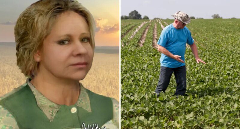 Chicago murder victim identified 50 years after she was found in box in Indiana cornfield