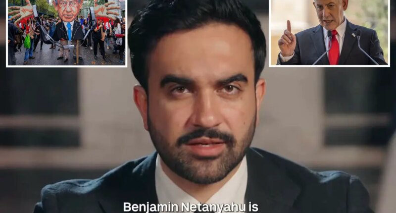 Cops fume as Mamdani urges New Yorkers to protest Netanyahu after arrest fail