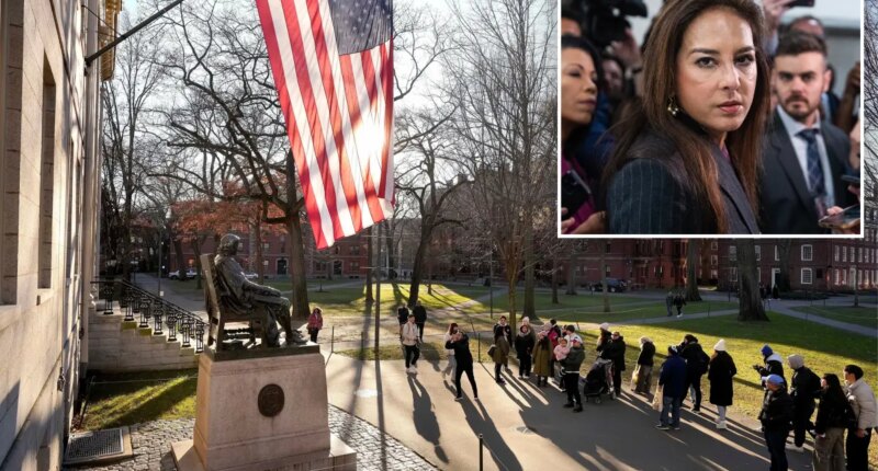 DOJ opens probe into Harvard's financial aid for alleged discrimination against American students