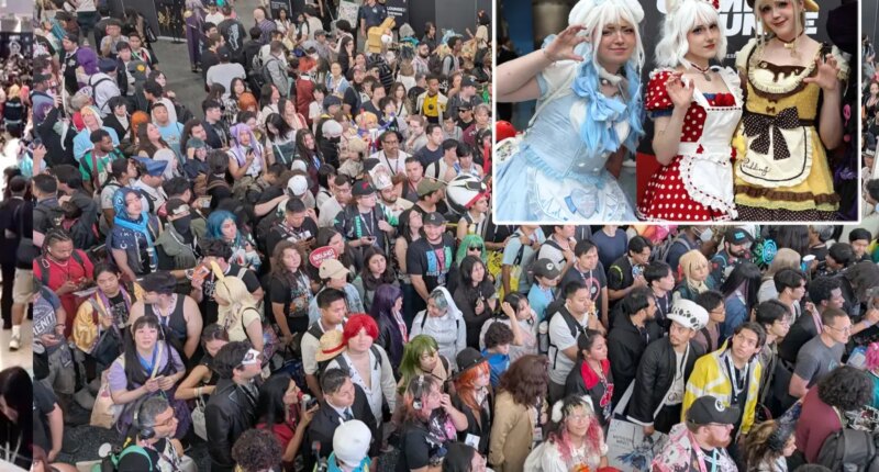 Dangerous conditions at LA Anime Expo as crowds pack halls