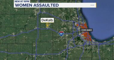 DeKalb, Illinois news: Maurice Kemp II, charged with physically, sexually assaulting 3 women downtown DeKalb, police say