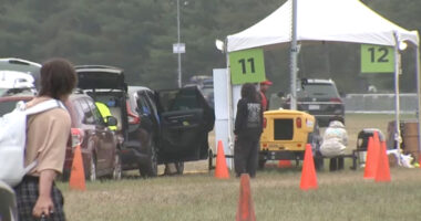 Dead baby found in portable toilet at music festival in Michigan