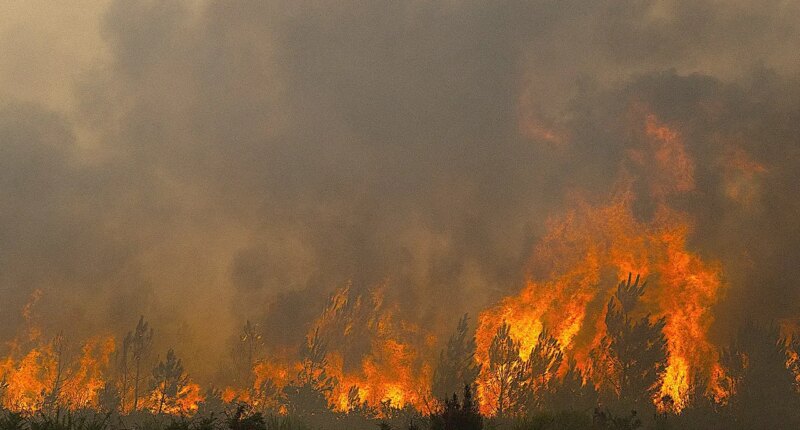 Deadly French wildfires threaten missile plants, nuclear sites as fourth heatwave looms