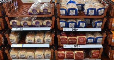 Department for Health responds to calls for change to all white bread in UK