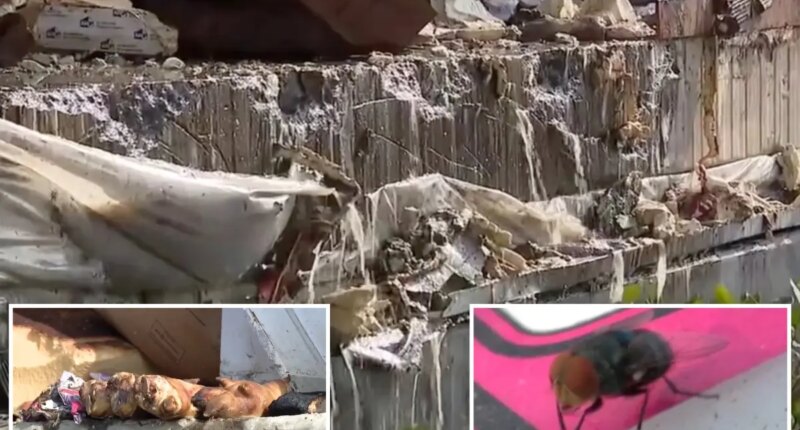 Disgusting update as 85 million pounds of food rots after LA warehouse fire