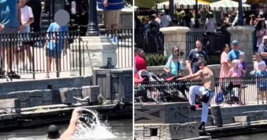 Disneyland employee jumps into Rivers of America shirtless