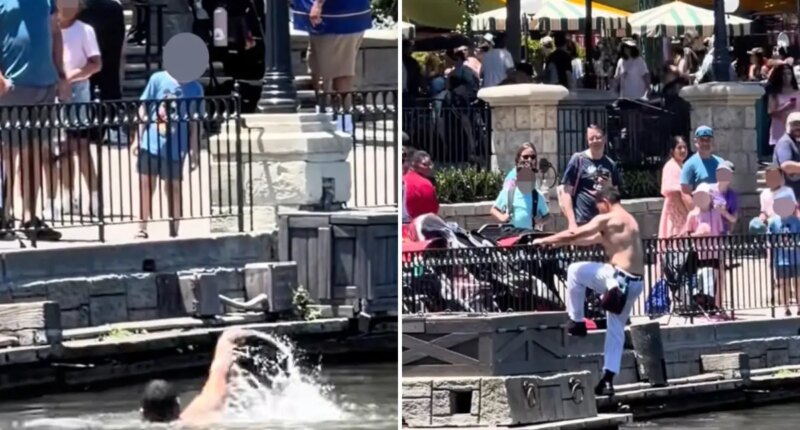 Disneyland employee jumps into Rivers of America shirtless