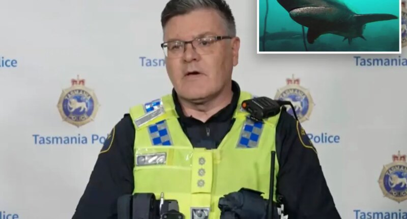 Diver survives after being bitten by nearly 7-foot shark in Australia: ‘Pretty good bite’