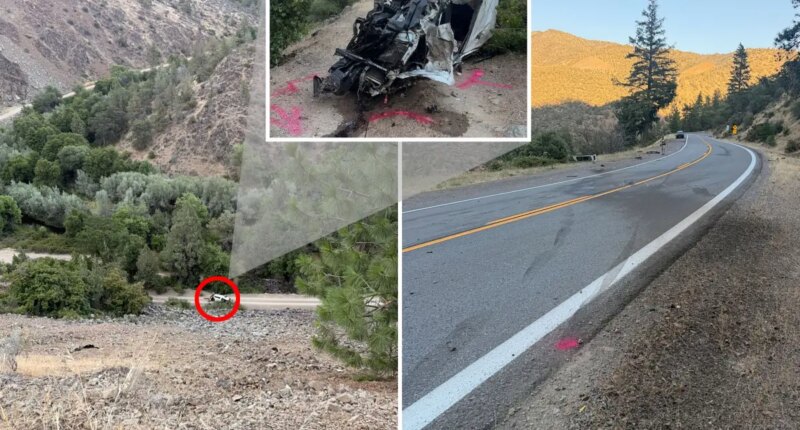 Driver somehow escapes death after plunging 600 feet off cliff — but ends up in cuffs anyway