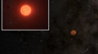 Earth’s new 'next-door neighbor', a potentially habitable planet, discovered by astronomers