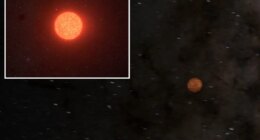 Earth’s new 'next-door neighbor', a potentially habitable planet, discovered by astronomers