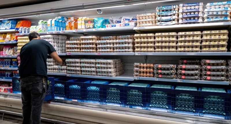 Egg producers reach federal and state settlement over allegations of price-fixing
