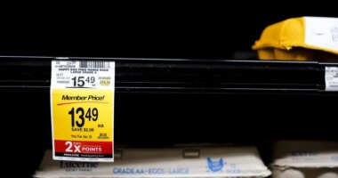 Egg producers to pay $3.3M, donate 53M eggs to settle price-fixing claims