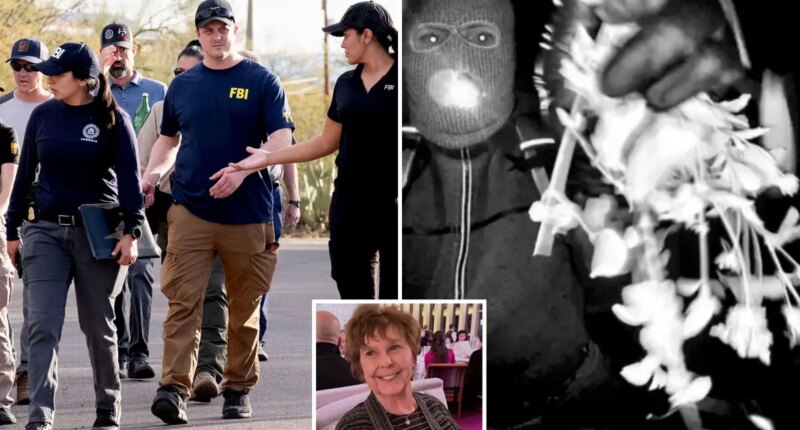 FBI has no reason to believe Nancy Guthrie ransom notes are genuine: expert