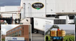 FDA says it still thinks 'diarrhea parasite' came from Taylor Farms — and insists it didn't apologize