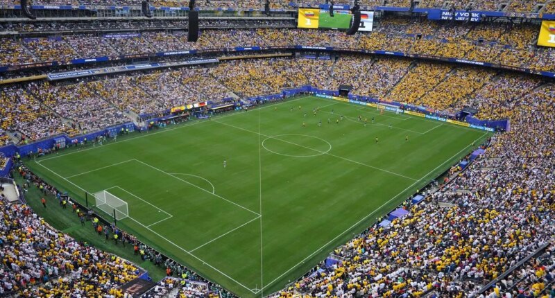 FIFA Selling $450 World Cup Final Grass Patches—And New Jersey Reportedly Wants A Cut