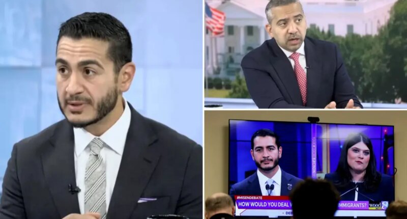 Far-left Michigan Dem Senate candidate Abdul El-Sayed grilled over 'physician' title despite lack of medical license