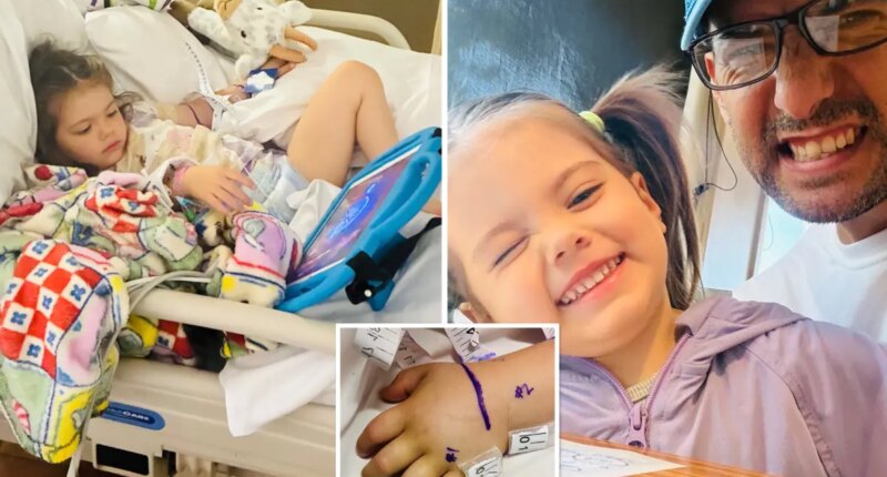 Father's 3-year-old daughter is bitten by rattlesnake hiding under Amazon package
