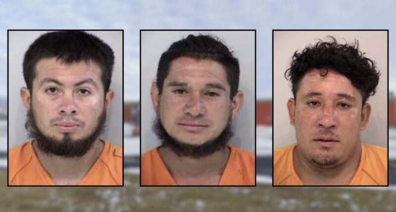 Arrests made in hotel beating