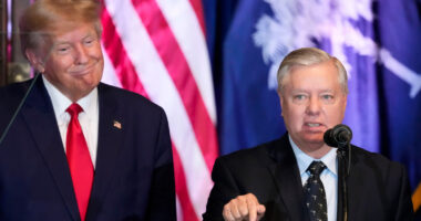 The long, strange and consequential relationship between Donald Trump, Lindsey Graham