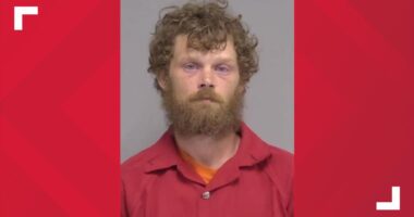 Georgia man arrested in Nassau County, accused of impregnating a minor twice