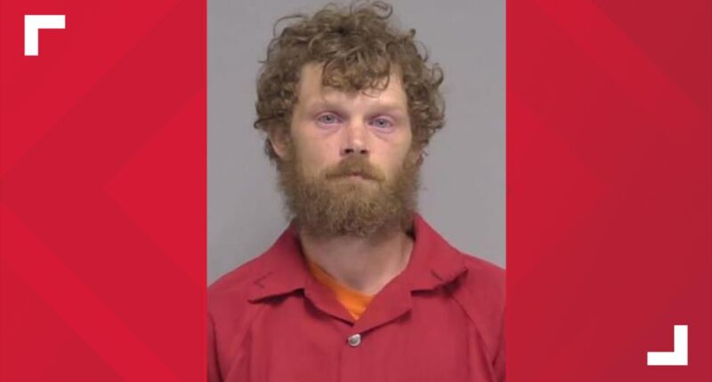 Georgia man arrested in Nassau County, accused of impregnating a minor twice