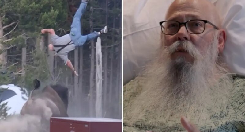 Grandpa tossed 8 feet into air by Yellowstone bison speaks of ordeal from his hospital bed