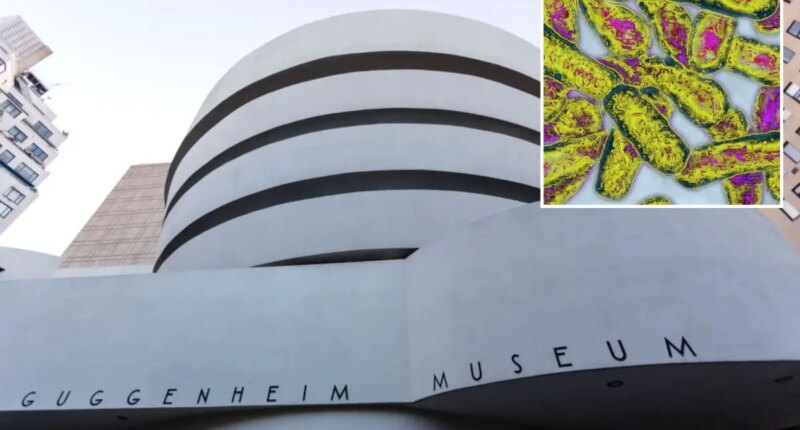 Guggenheim and 30 other UES buildings detected for Legionnaires