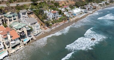 Homeowners terrorized by pro squatters turning dreams into nightmares in palm-lined paradise, experts say