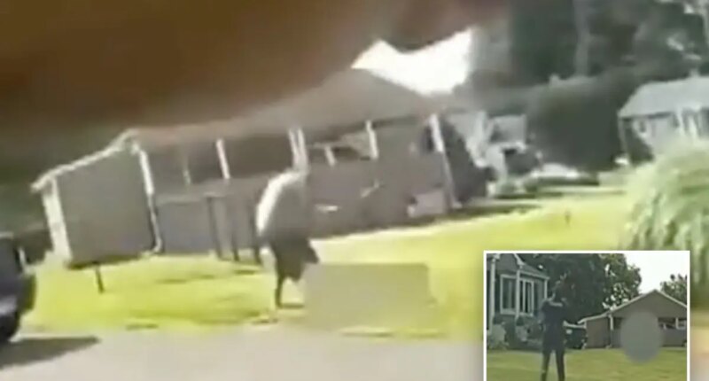 Horrifying Connecticut police bodycam footage shows crazed Robert Jenkins III 'bludgeoning' his dad to death with baseball bat outside their home