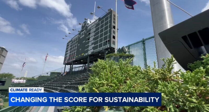 How a backyard-inspired idea is helping the Chicago Cubs save water at Wrigley Field