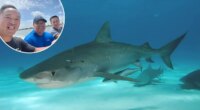 How three friends survived a shipwreck and a shark attack