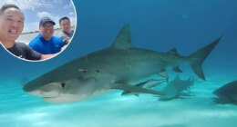 How three friends survived a shipwreck and a shark attack