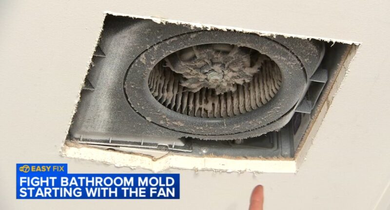 How to clean your bathroom exhaust fan and help prevent mold