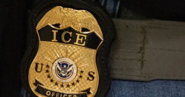 ICE arrests 10,000 people across US in 5-day span, a sharp surge in Trump's deportation push