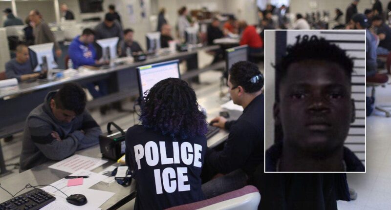 ICE asks Michigan to hold Haitian illegal alien who allegedly 'barbarically stabbed' coworker