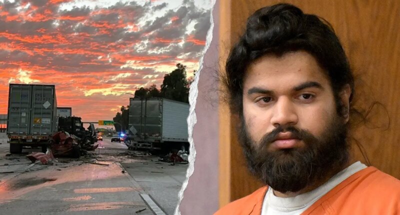 Illegal immigrant sentenced after fiery California semitruck crash killed 3