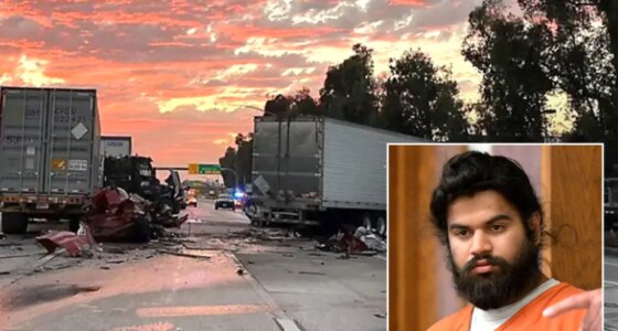 Undocumented Truck Driver Pleads Guilty in Deadly Ontario Semi-Truck ...